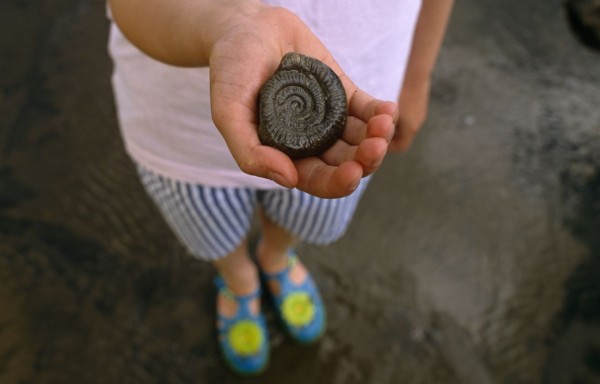 A child holding a fossil, on a beach in Yorkshire
