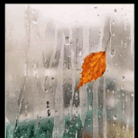 4_rainin-window