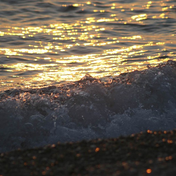 Χαλί στο βυθό της θάλασσας παράγει ενέργεια από τα κύματα