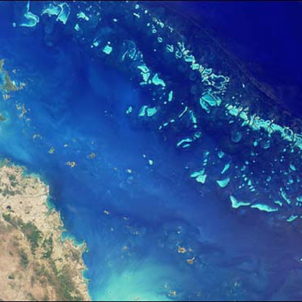 Συρρικνώνεται επικίνδυνα ο μεγάλος κοραλλιογενής ύφαλος