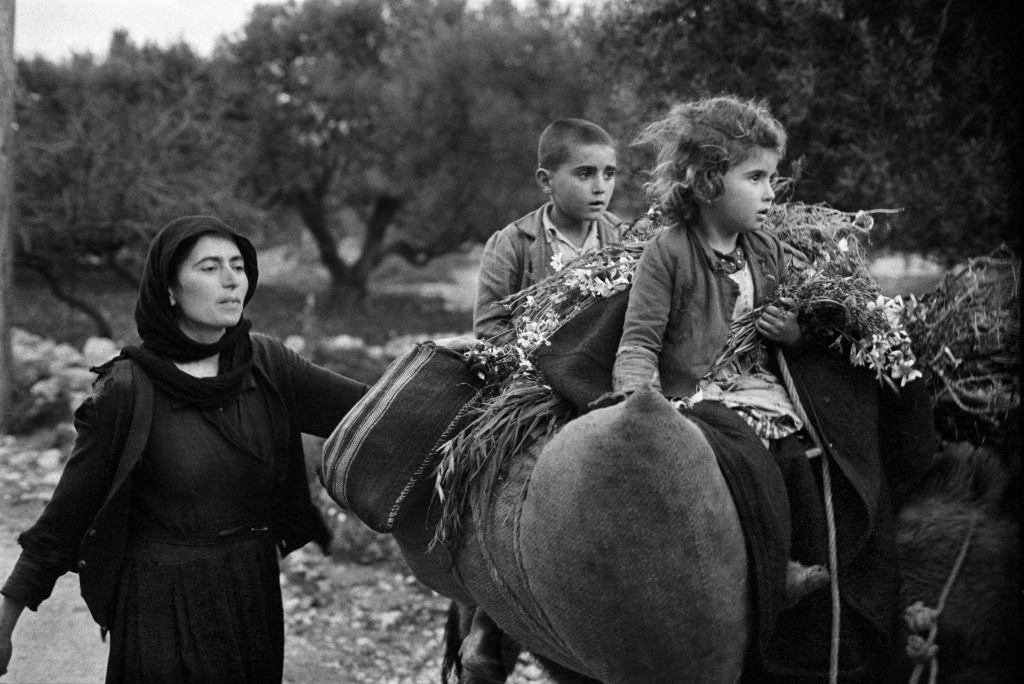 Επιστροφή στους αγρούς, Κριτσά, Κρήτη, δεκαετία 1960 ©  Κωνσταντίνος Μάνος, Magnum, Aurion