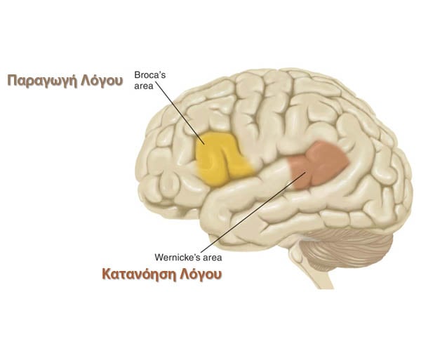 Εγκέφαλος και Γλώσσα: Λόγος, Συνείδηση, Αφασίες