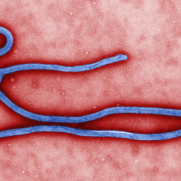 Αιμορραγικός πυρετός Ebola: θανατηφόρος κίνδυνος