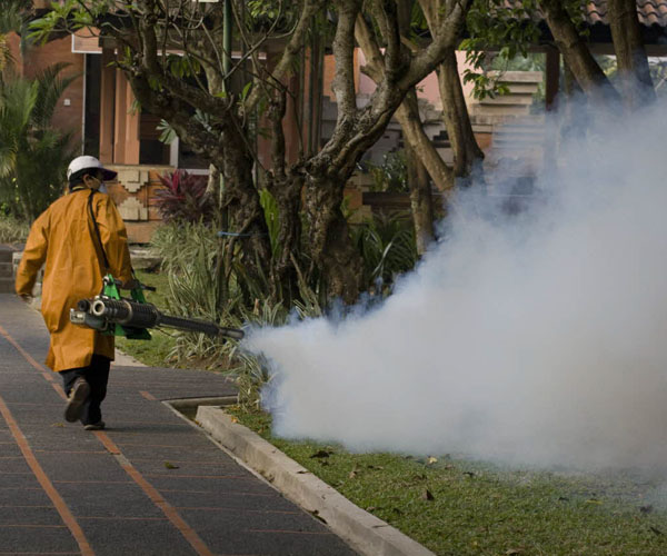 Δάγκειος πυρετός: η απειλή των κουνουπιών (Γ’)