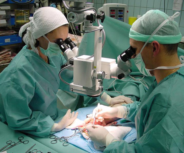 Μικροχειρουργική: συρραφή & αναγέννηση νεύρων, εναντίον αναπηρίας