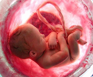 Η ευχαριστιακή θεώρηση του ανθρώπινου εμβρύου