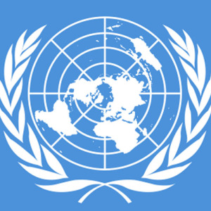 Ανθρώπινα δικαιώματα: ο ρόλος του ΟΗΕ