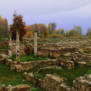 Αρχαιολογικά ευρήματα και ανακαλύψεις από την ανασκαφή στο Δίον