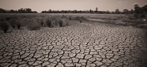 World crisis: Dry crack earth at farm