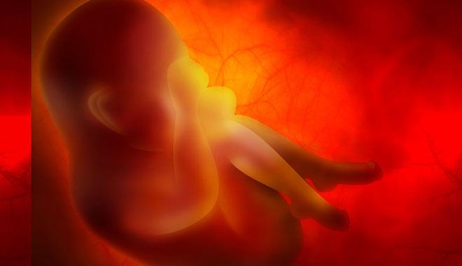 Medicine abstract background with embryo