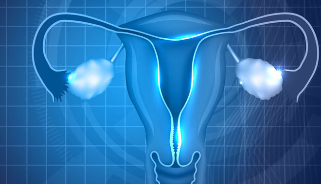 Female reproductive system background. Normal female uterus and ovaries illustration.