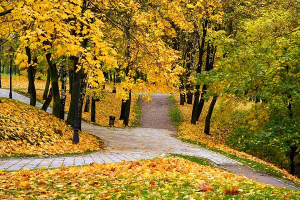 autumn-park
