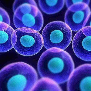 Έρευνες για την καταπολέμηση του καρκίνου με τη βοήθεια βλαστοκυττάρων
