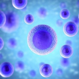 Οι θέσεις των βιοηθικολόγων για την χρήση εμβρυακών γενετικών κυττάρων για επιστημονικούς σκοπούς