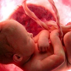 Εγκύκλιος της Ιεράς Συνόδου «Περί προστασίας της ανθρώπινης ζωής και αποφυγής των αμβλώσεων»