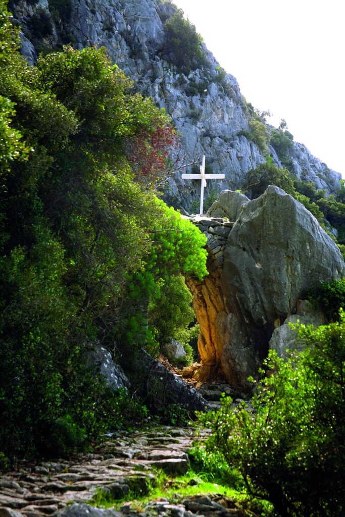 «Ο σταυρός στη γη του Αγίου Όρους»