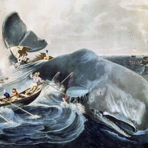 Μόμπι Ντικ: Η τιμωρός φάλαινα της ύβρεως