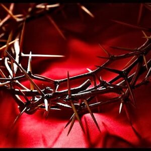 «Επί σταυρού ανυψώθη και θρηνεί πάσα η κτίσις»